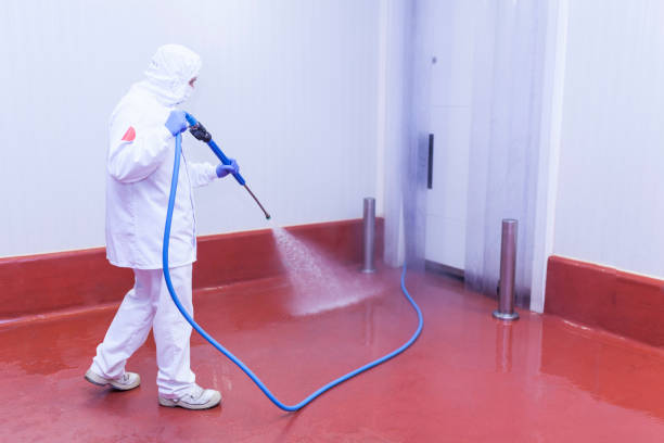 Best Graffiti Removal Services in Bridgetown, OH